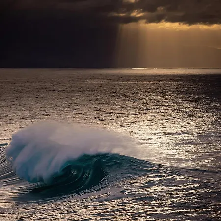 Teide Y Mar 아파트 타코론테